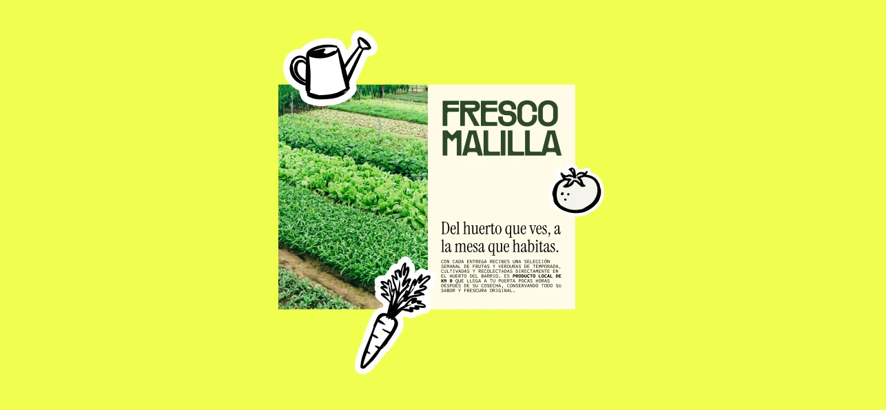 Fresco Malilla poster with allotment photography and watering can, tomato and carrot illustrations on lime.