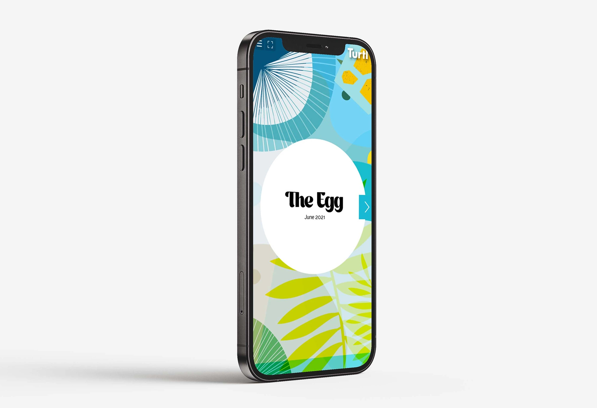 The Egg digital publication displayed on a phone.