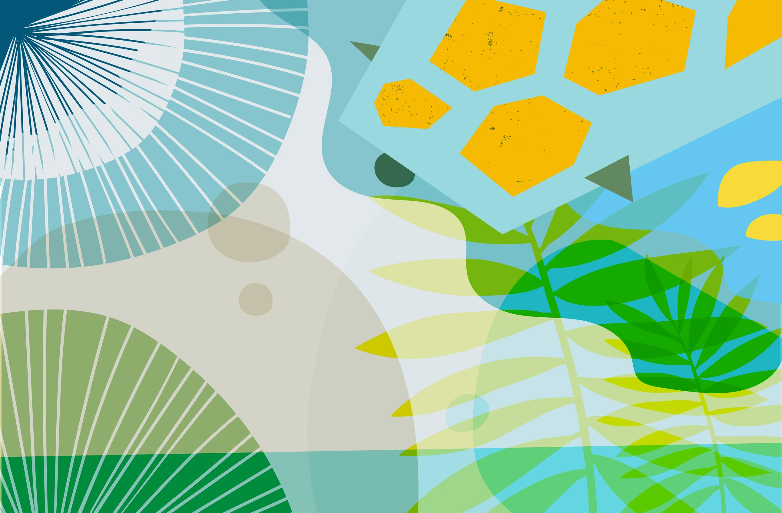 Abstract foliage, geometric shapes and flowing lines from The Egg cover illustrations.